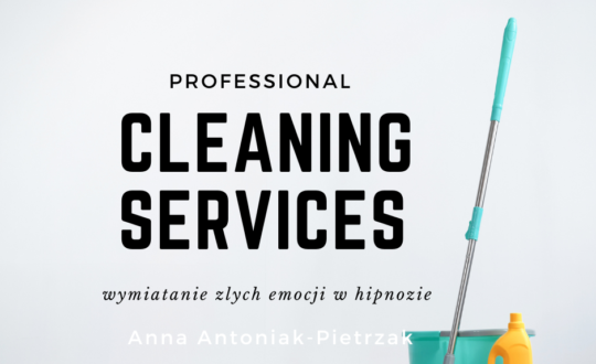 Teal Photocentric Cleaning Services Facebook Post